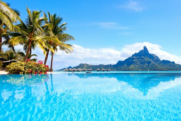 Isla tropical en medio del océano