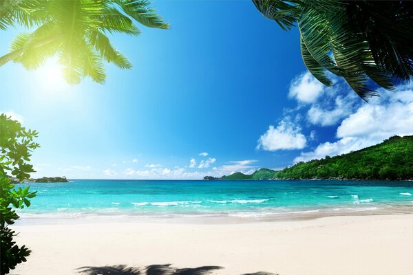 Tropischer Strand mit Sand und Palmen