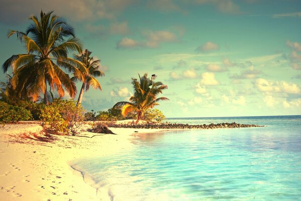 Tropikalna plaża o zachodzie słońca. Przetwarzanie zdjęć w Kolorze Niebieskim. Piaszczysty brzeg