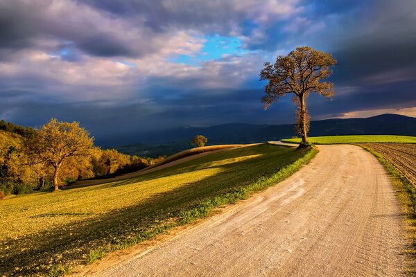 Des nuages noirs et lourds resserrent le ciel au-dessus des champs verts plats