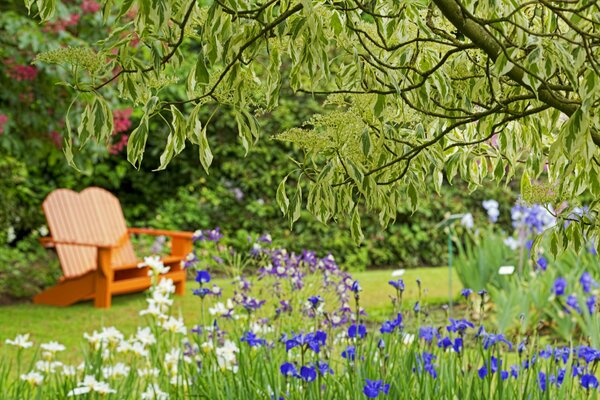 Dans le parc sur le banc, beaucoup de couleurs