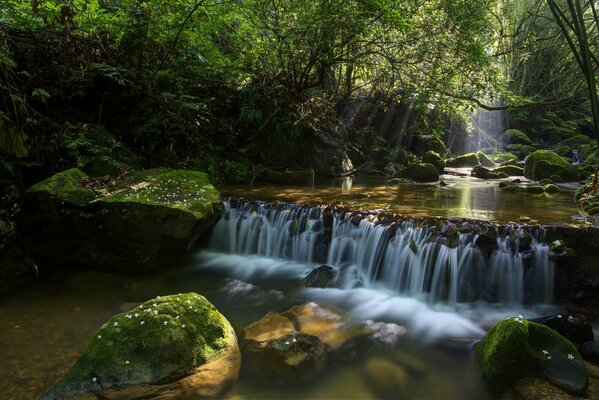 Ein Miniatur-Wasserfall im Fluss eines märchenhaften, salzigen Waldes