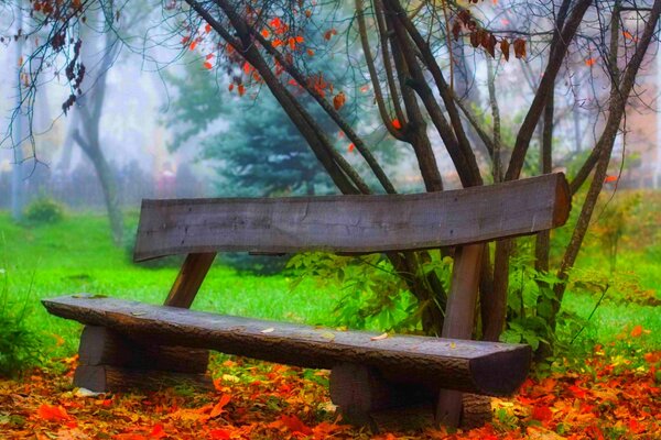 Bank im Park , vor dem Hintergrund der Herbstlaub und Bäume