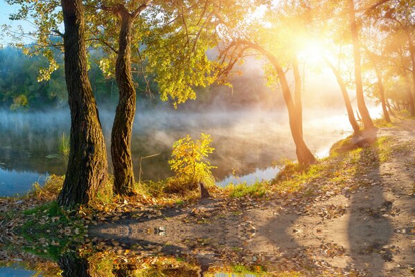 Tempo d autunno meraviglioso nel villaggio