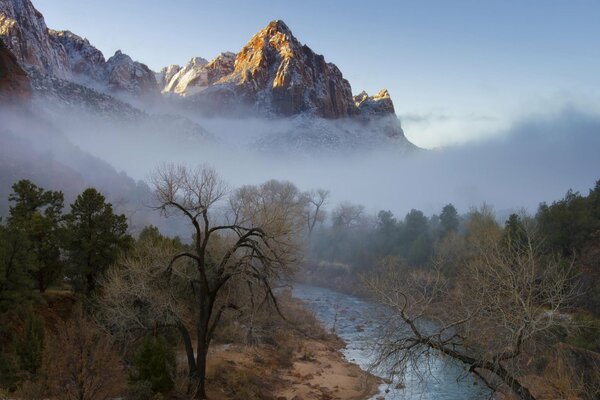 In the mountain forest fog over the river