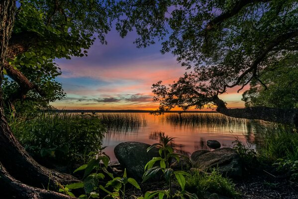 Hermosa puesta de sol a orillas del lago vastaya zhogur