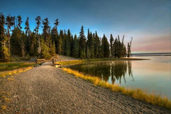 El camino a través de un puente de madera en el bosque del lago. Naturaleza nativa