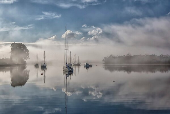 Un río en Australia envuelto en niebla