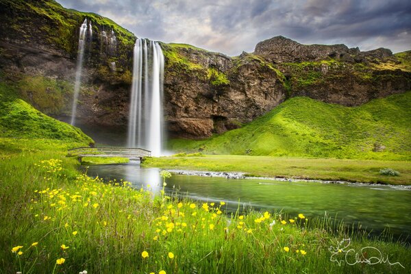 Natur im Sommer mit Wasserfall und Blumen