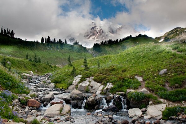 Paisaje de río de montaña con agua fría