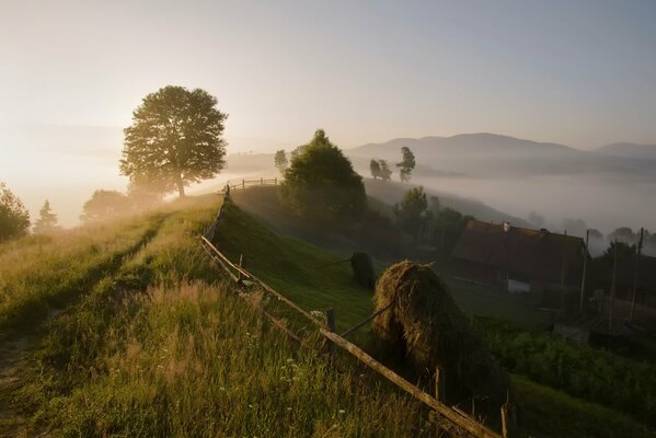 Foggy morning in a village in the Carpathians