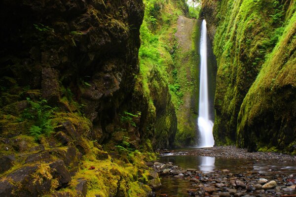 A small mountain waterfall in the gorge