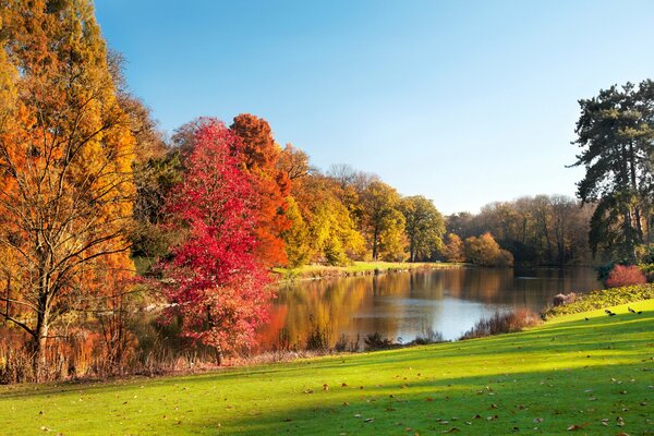Lago en el parque. paisaje de otoño