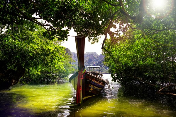 A boat sailing through a Thai lake through the trees