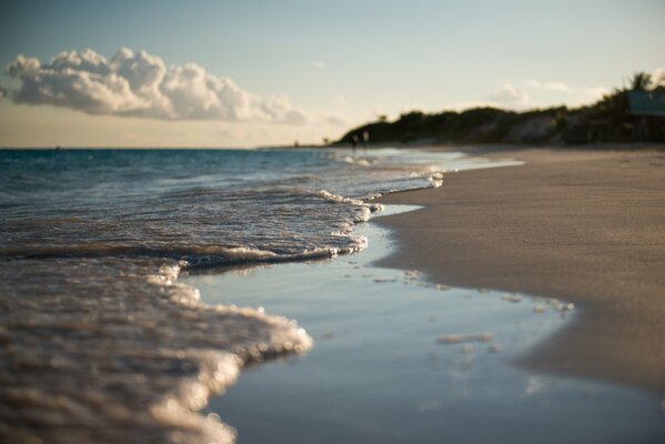 Surf marin sur la plage de sable