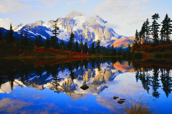 Crystal surface of the lake. Forest. Mountains