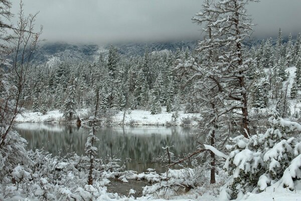 Der gefrorene Winterwald spiegelt sich im Wasser wider