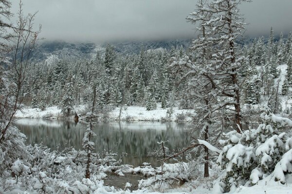 La foresta ghiacciata invernale si riflette nella superficie dell acqua