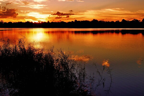 Verwaschene Silhouetten von Bäumen und Wolken am Abendsee, gewürzt mit rotem Sonnenuntergang