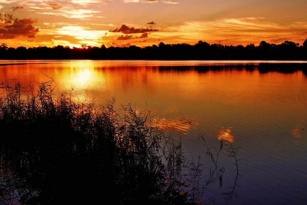 Siluetas borrosas de árboles y nubes en el lago de la tarde sazonadas con una puesta de sol rojiza