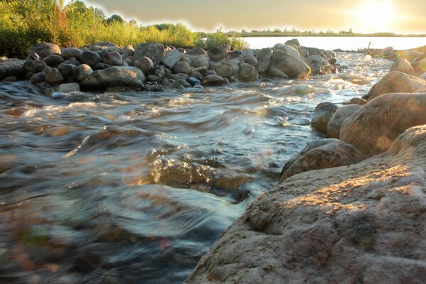 El rápido flujo de agua a través de las rocas hacia el sol. Foto del río