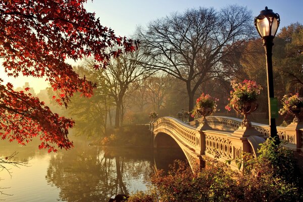 Autumn time in the bridge with the river park