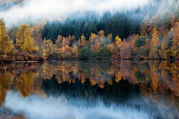 Fog over the autumn forest, reflection in the lake