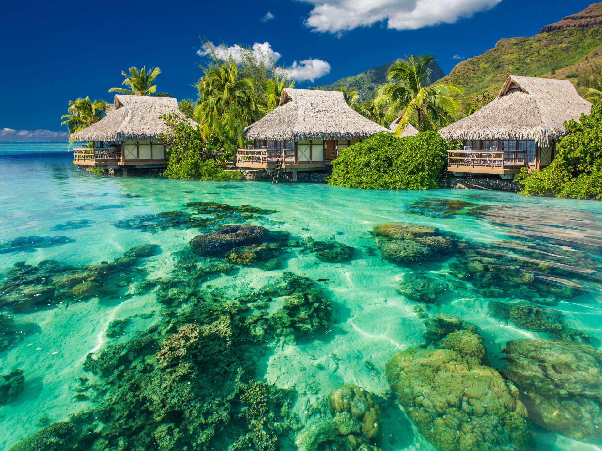 tropisch paradies strand palmen meer ozean sonne sommer urlaub hütte tropen häuser