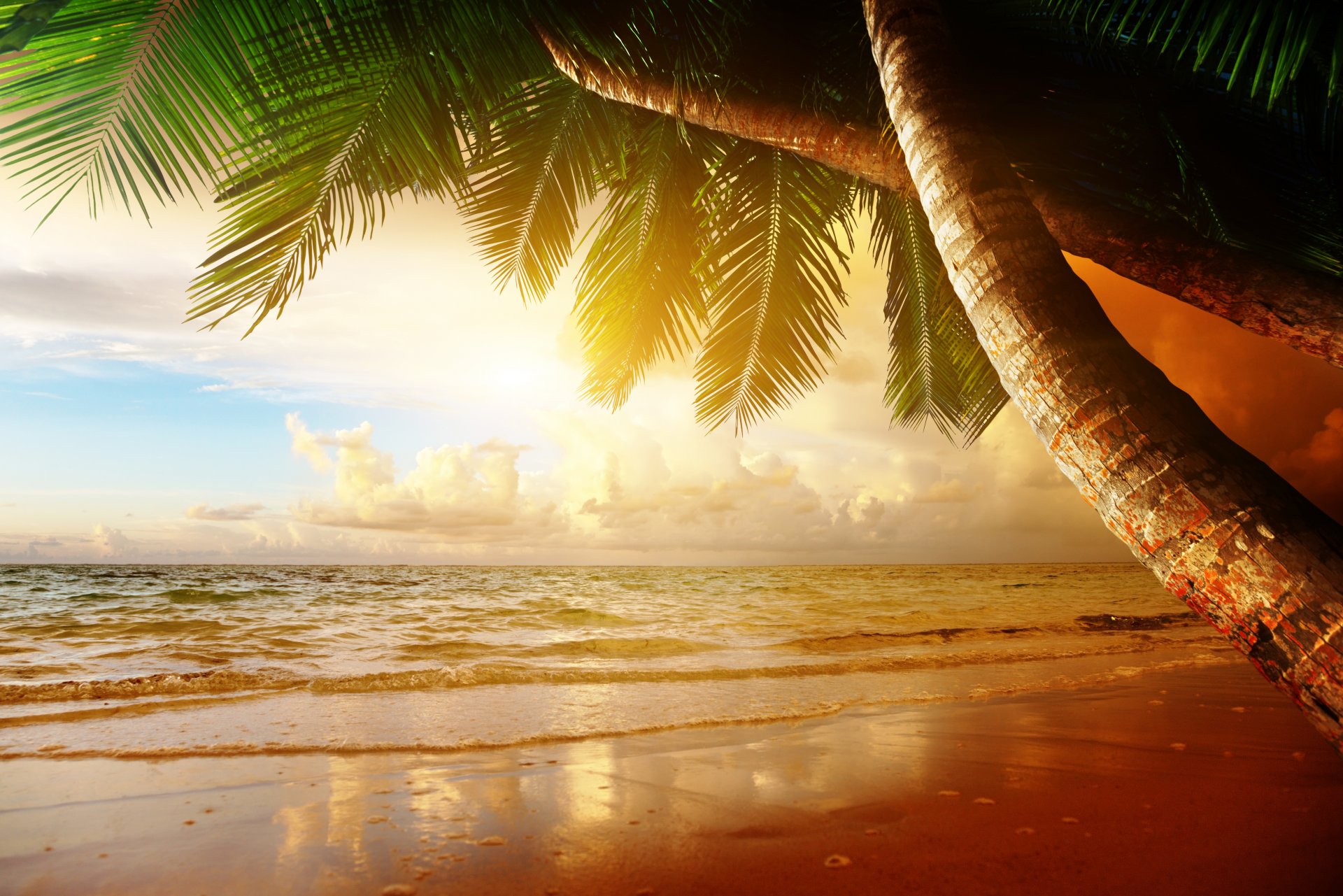 tropisch sonnenuntergang paradies strand küste meer ozean palm sommer sand tropen ufer palmen