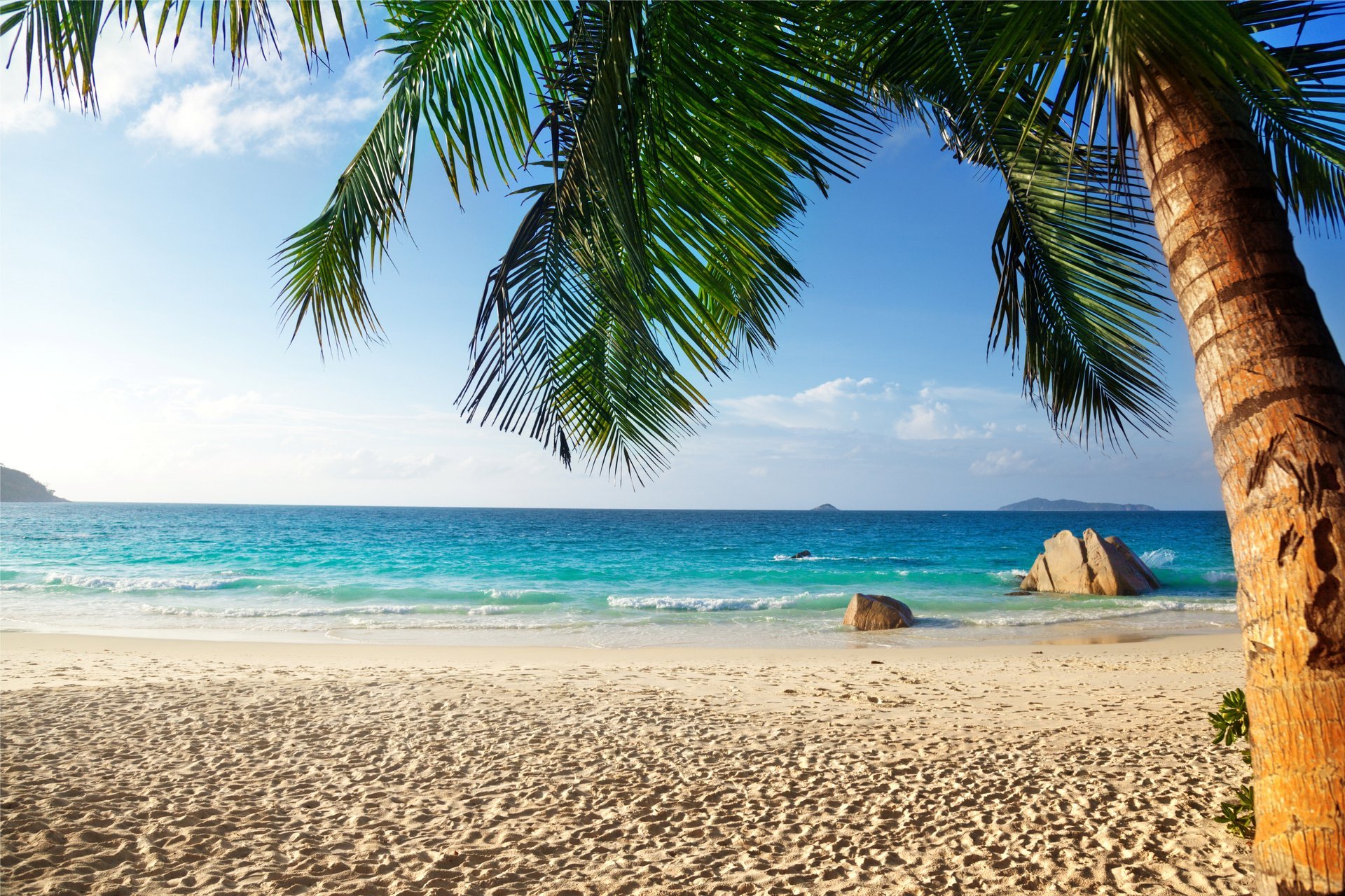 tropisch paradies strand palmen meer ozean im sommer urlaub tropen sand ufer