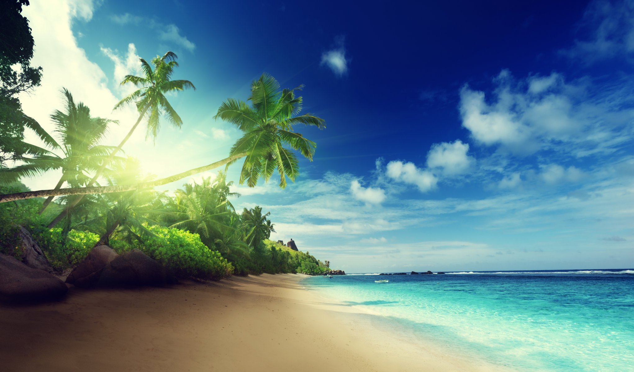 tropical paradise beach coast sea blue emerald ocean palm summer sand vacation tropics sun island shore palm tree