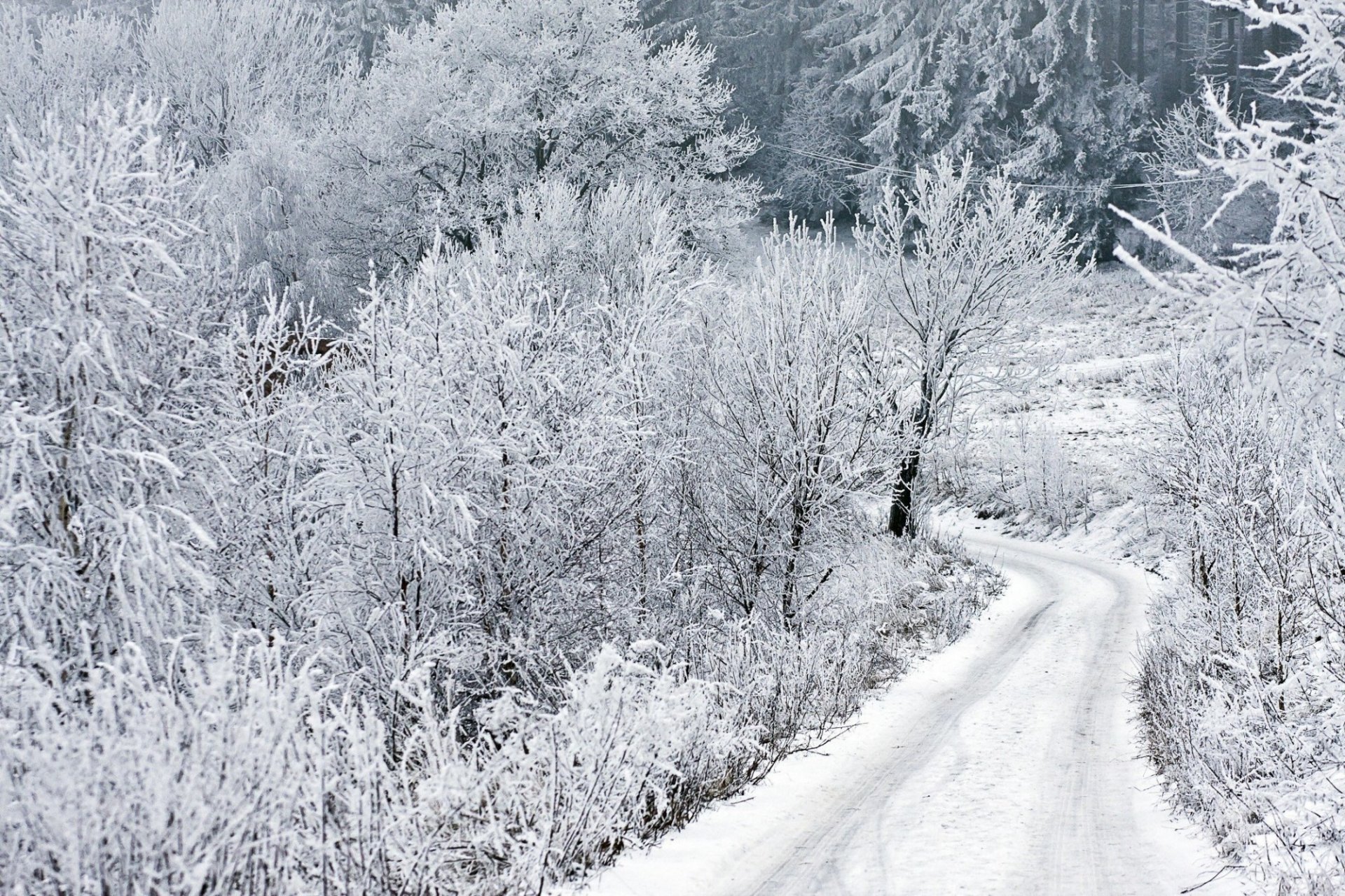 bartholomäus foto winter schnee straße winter frost bäume jahreszeit