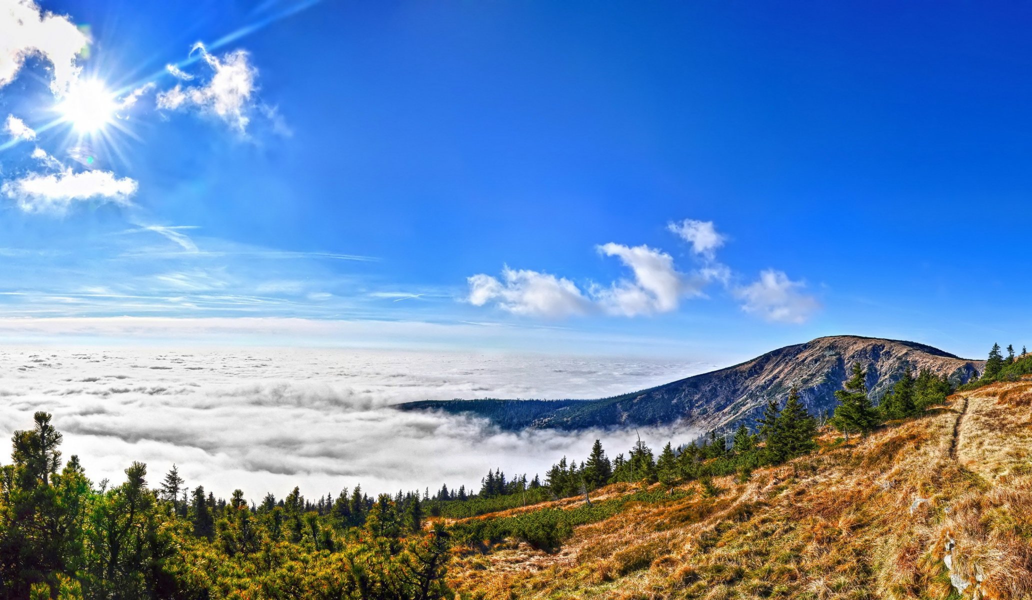 parque nacional de krkonoše república checa montañas bosque nubes sol