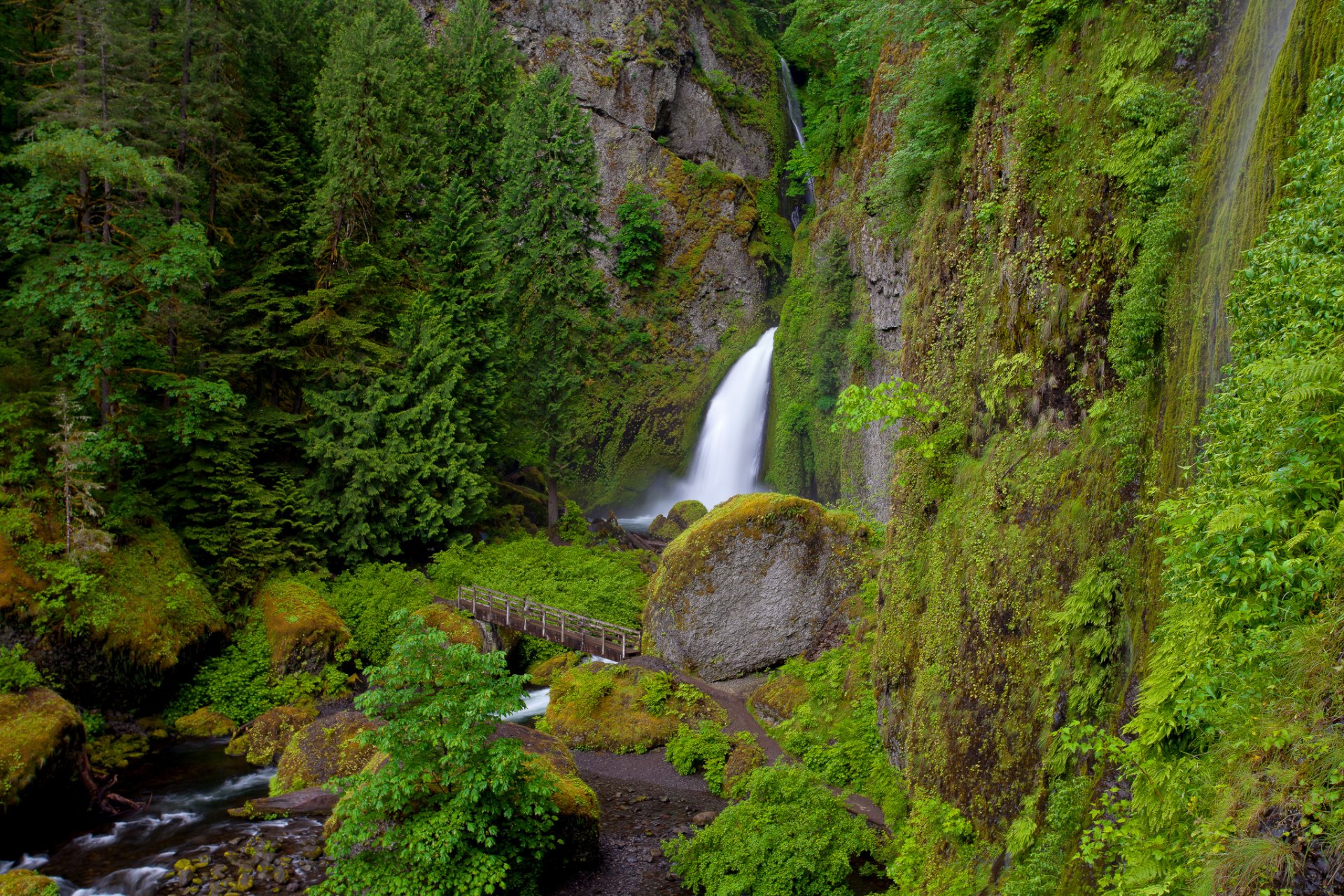 wahclella falls oregon cascata rocce fiume ponte vegetazione