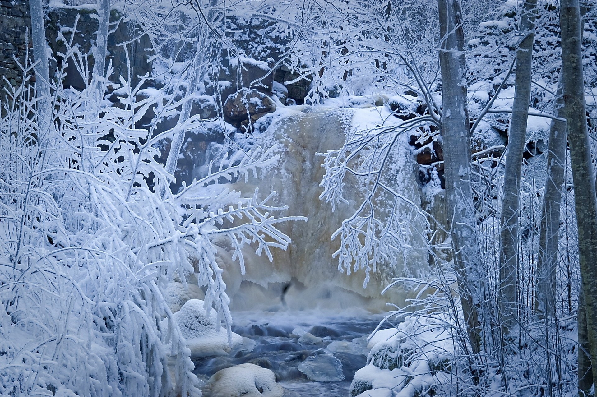 svezia inverno fiume ruscello alberi foresta neve gelo