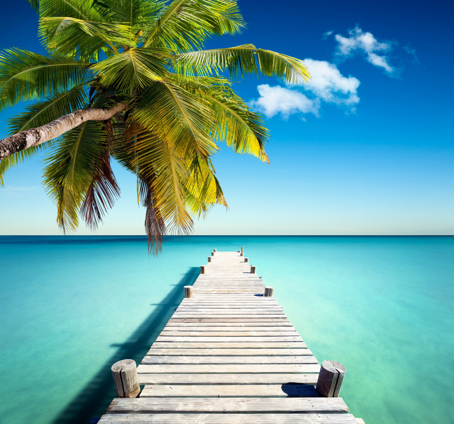 tropisch paradies pier küste meer blau smaragd ozean palm im sommer sand urlaub tropen strand sonne insel küste