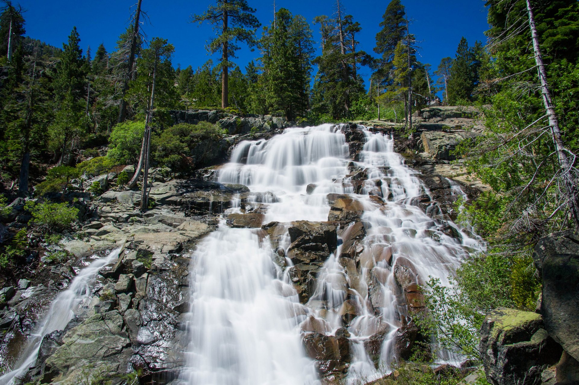 waterfall rock forest tree