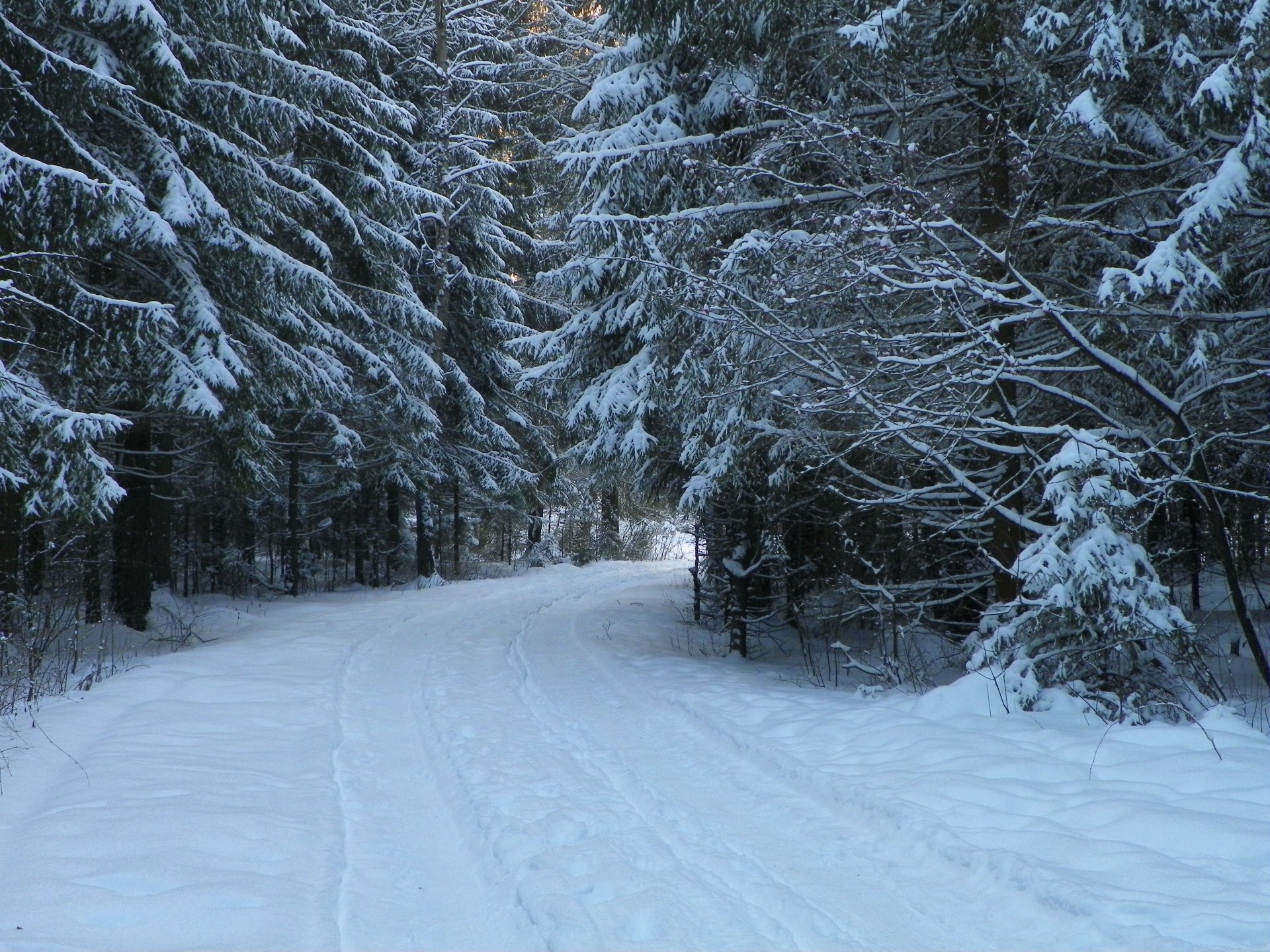 invierno frío giro