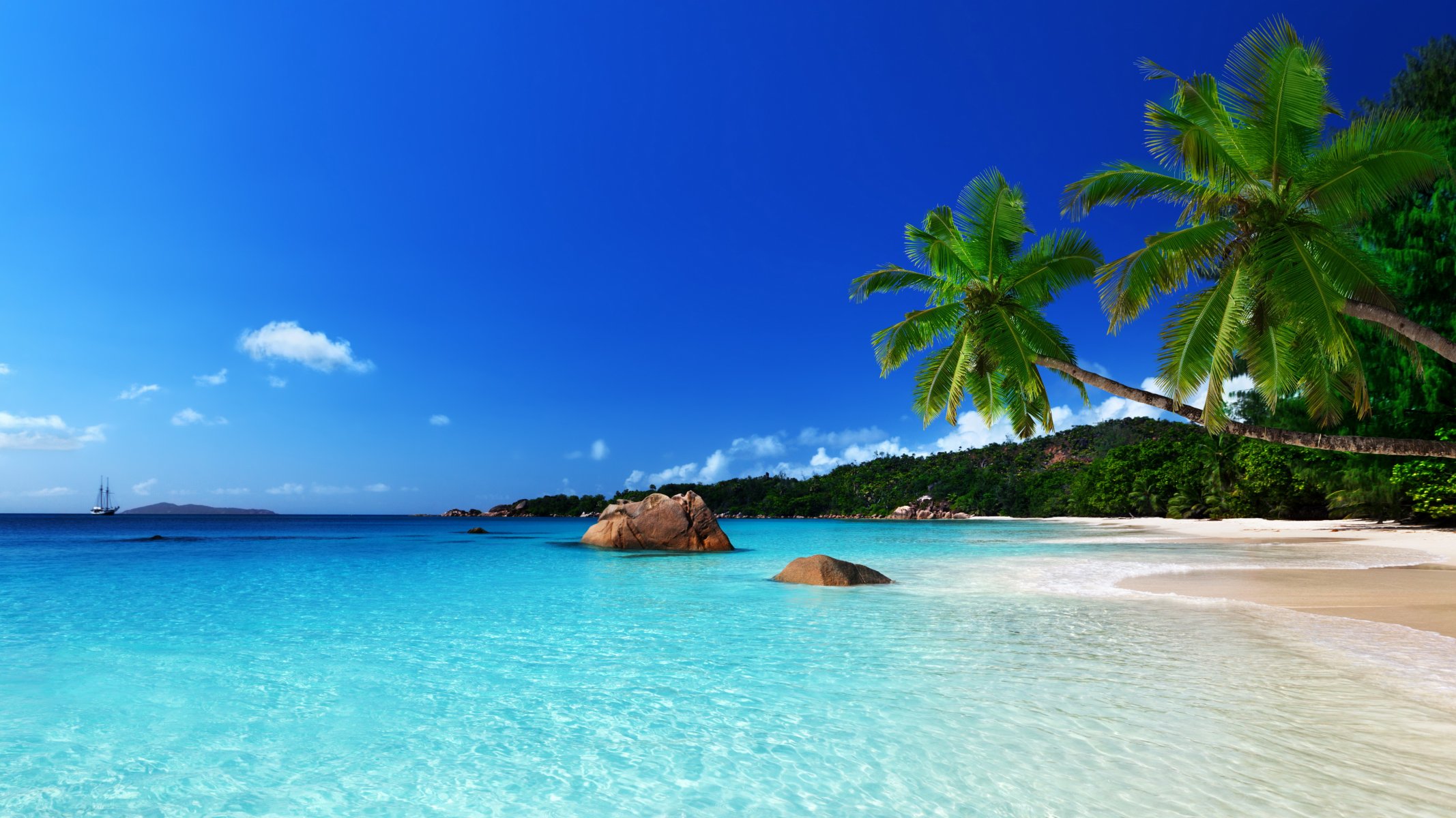 tropisch paradies strand küste meer ozean palm sommer tropen sand sonne insel küste