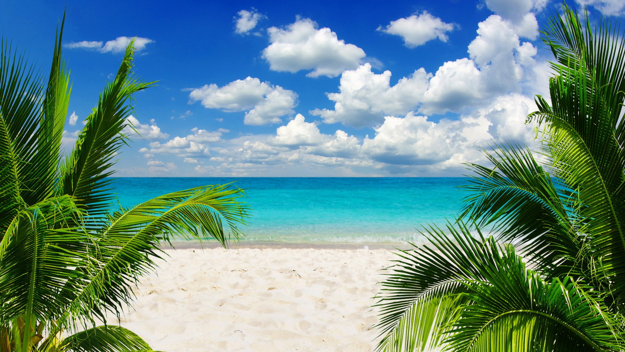 tropisch paradies sonne strand küste meer himmel blau smaragd ozean palm sommer sand urlaub tropen ufer palmen