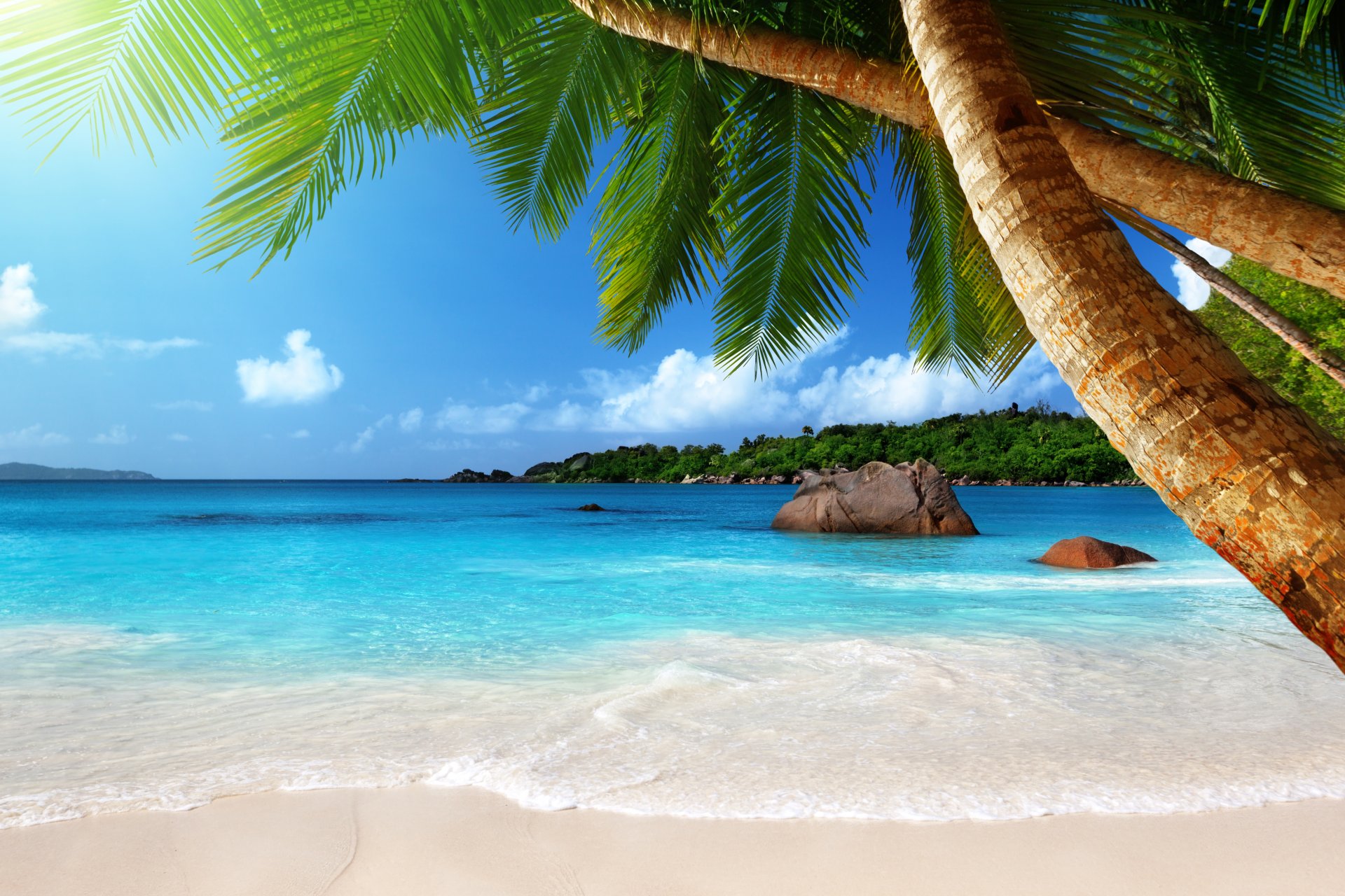 tropisch paradies strand küste meer blau smaragd ozean palm sommer sand urlaub tropen sonne insel küste palmen