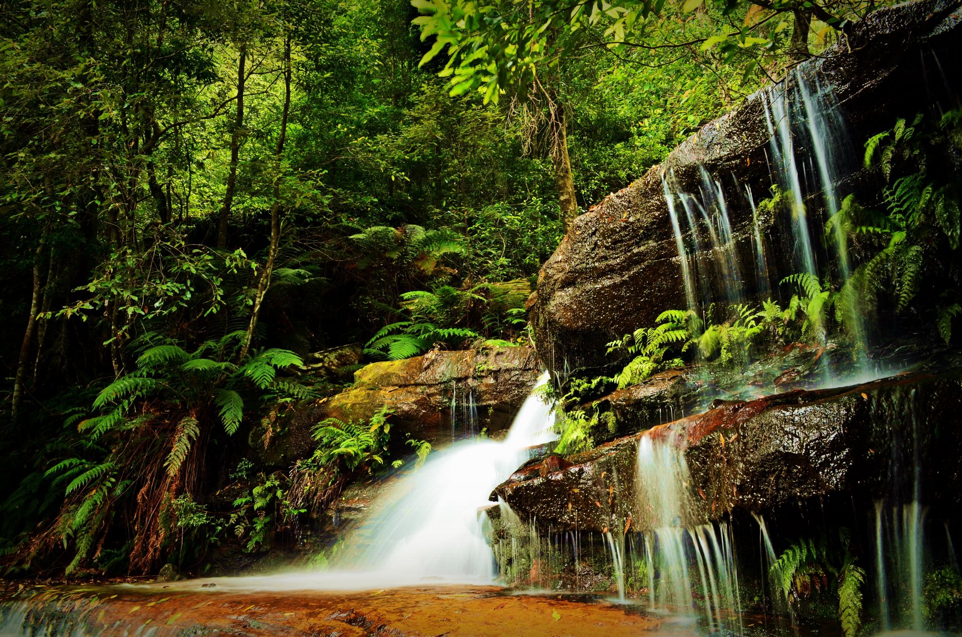 foresta alberi erba verde rocce cascata