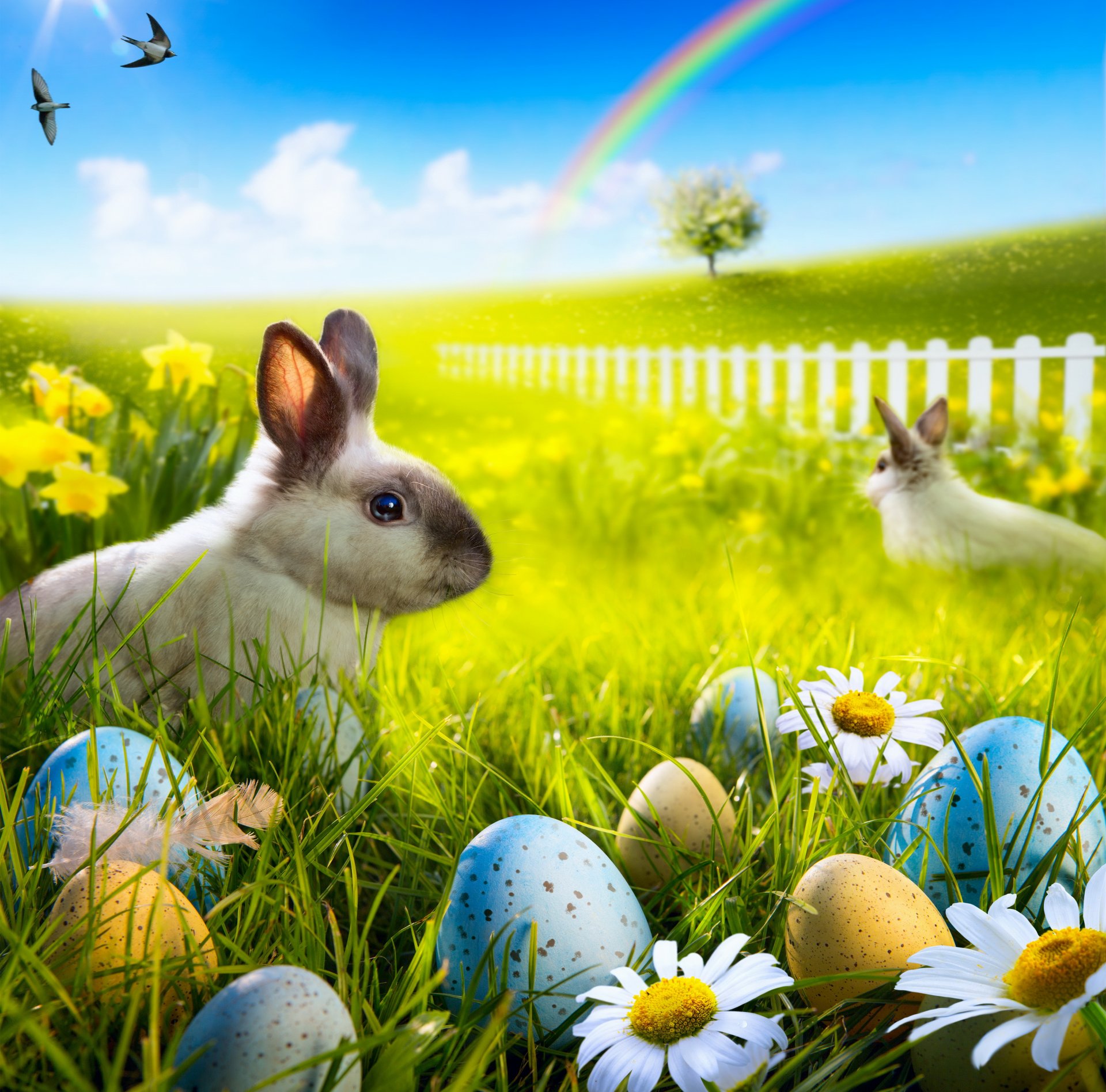 easter rabbit spring sun meadow grass flowers eggs daisies rainbow spring easter