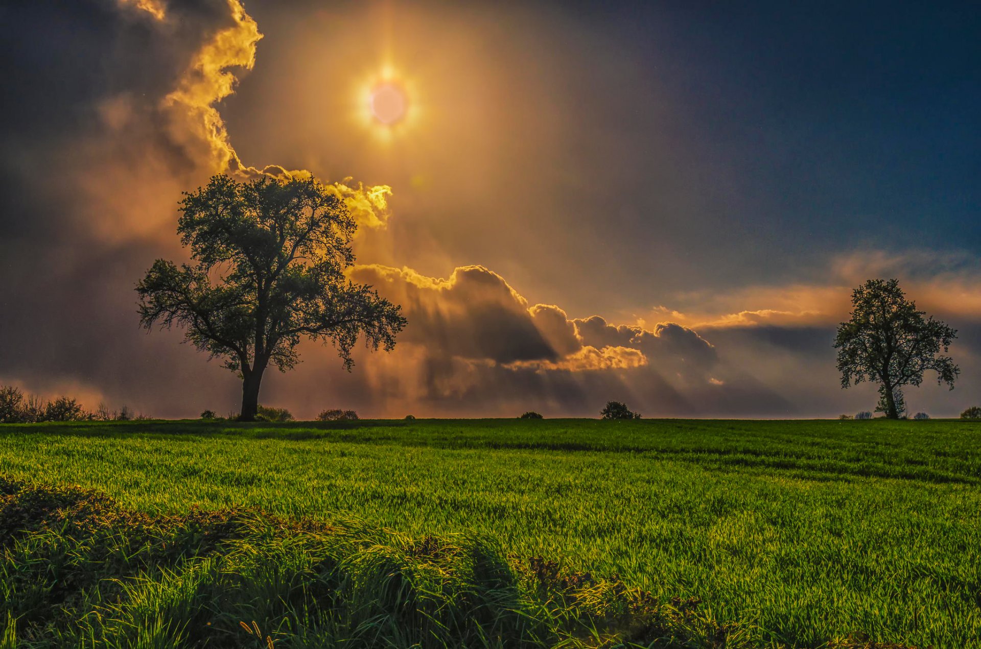 sonne wolken strahlen baum feld