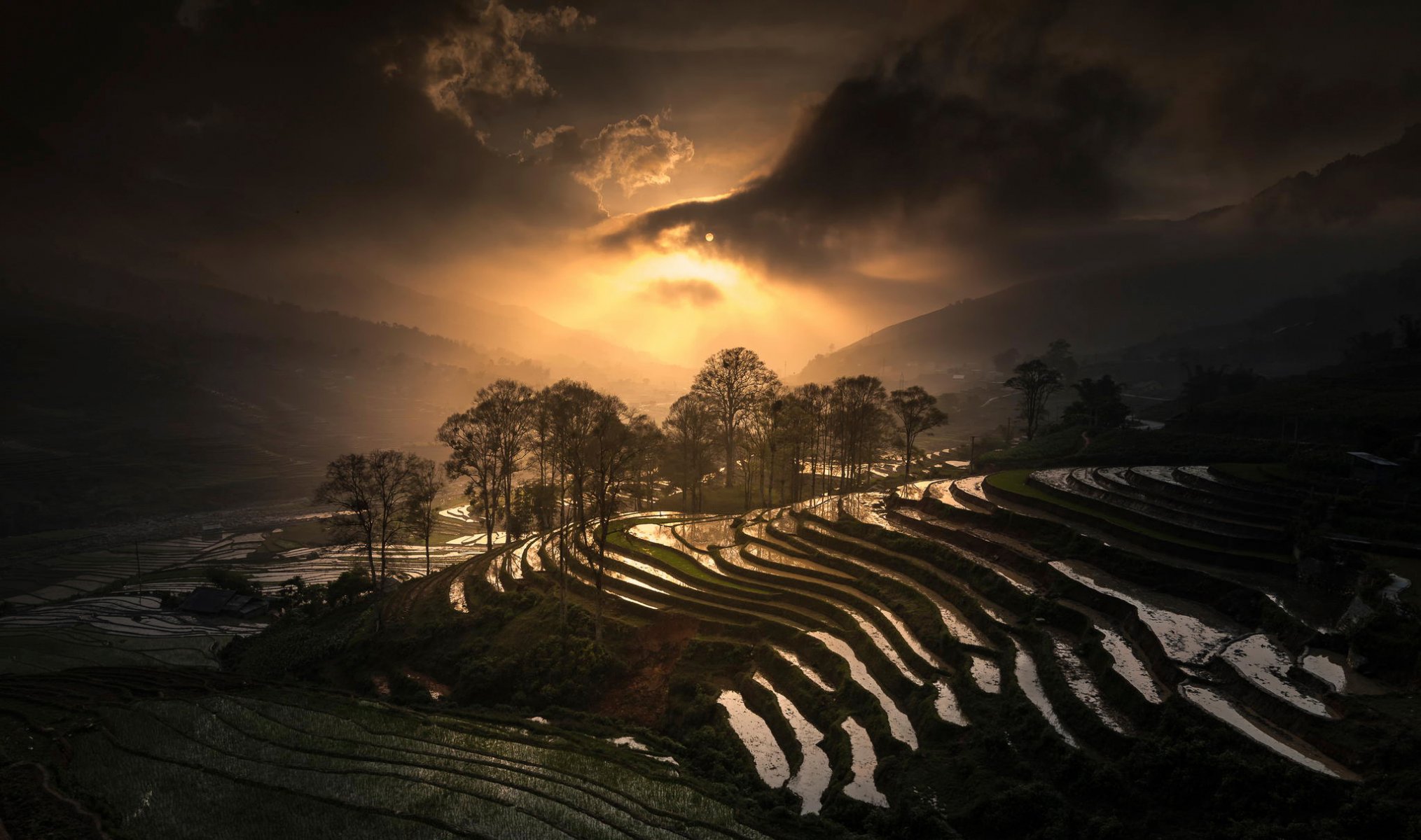 terrasse de riz sapa vietnam