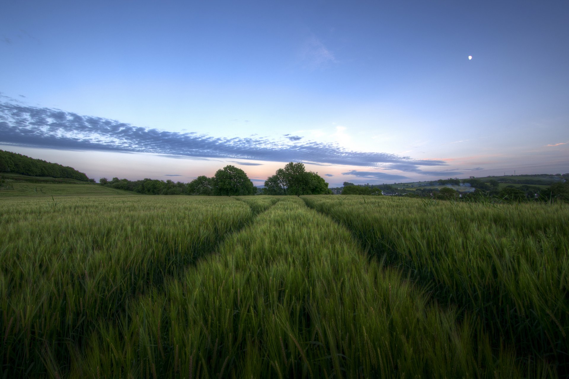 royaume-uni irlande du nord champ soirée crépuscule arbres ciel nuages lune