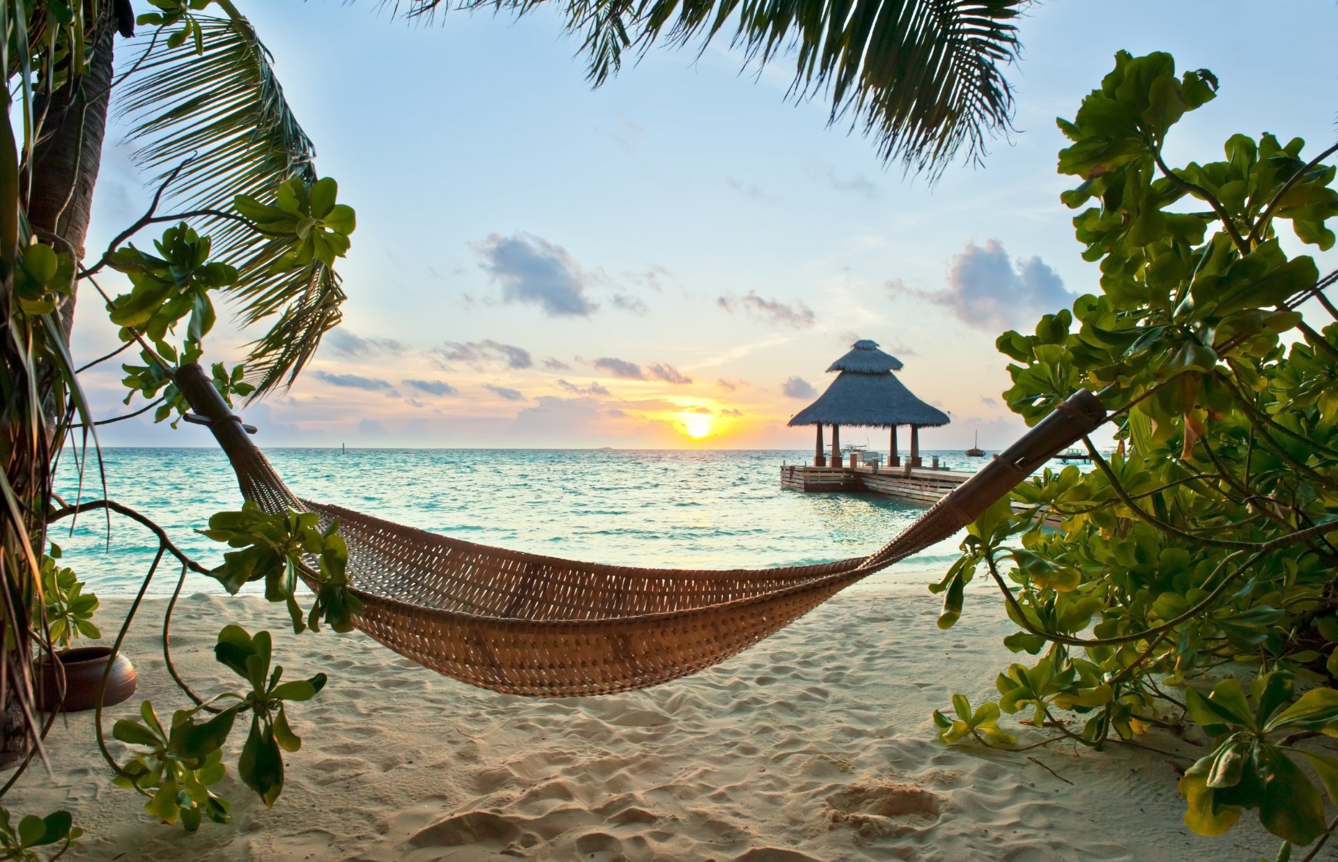 tropisch paradies strand palmen meer ozean sonne sommer urlaub hängematte tropen sand ufer