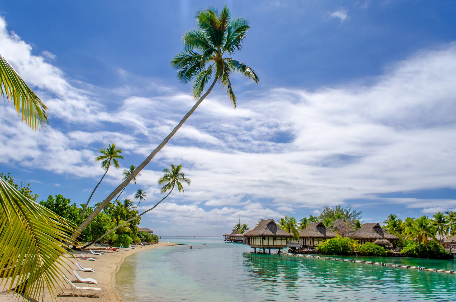 tropical paradis plage palmiers mer océan soleil été vacances huttes cabanes tropiques