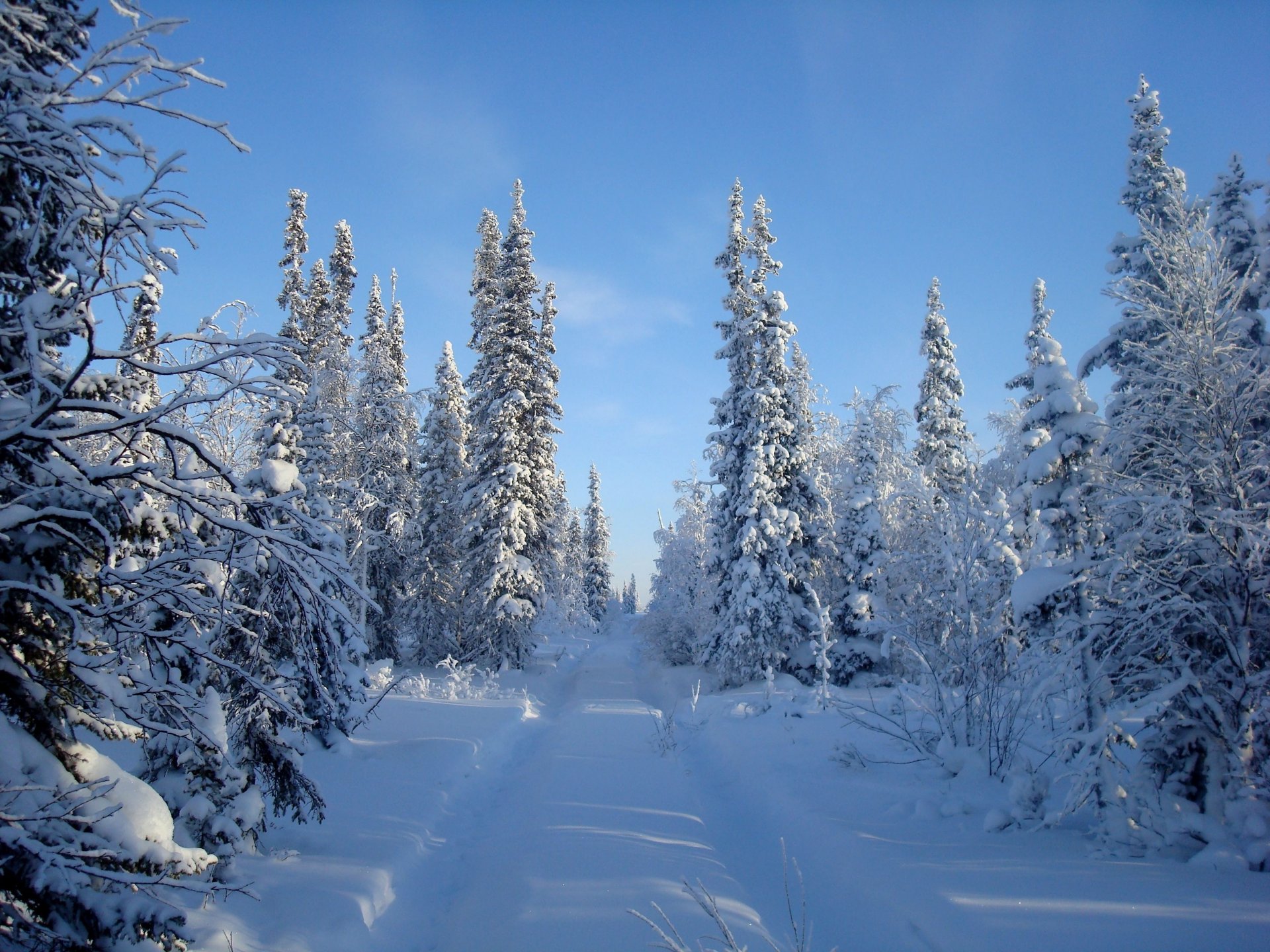 winter snow sky tree road forest