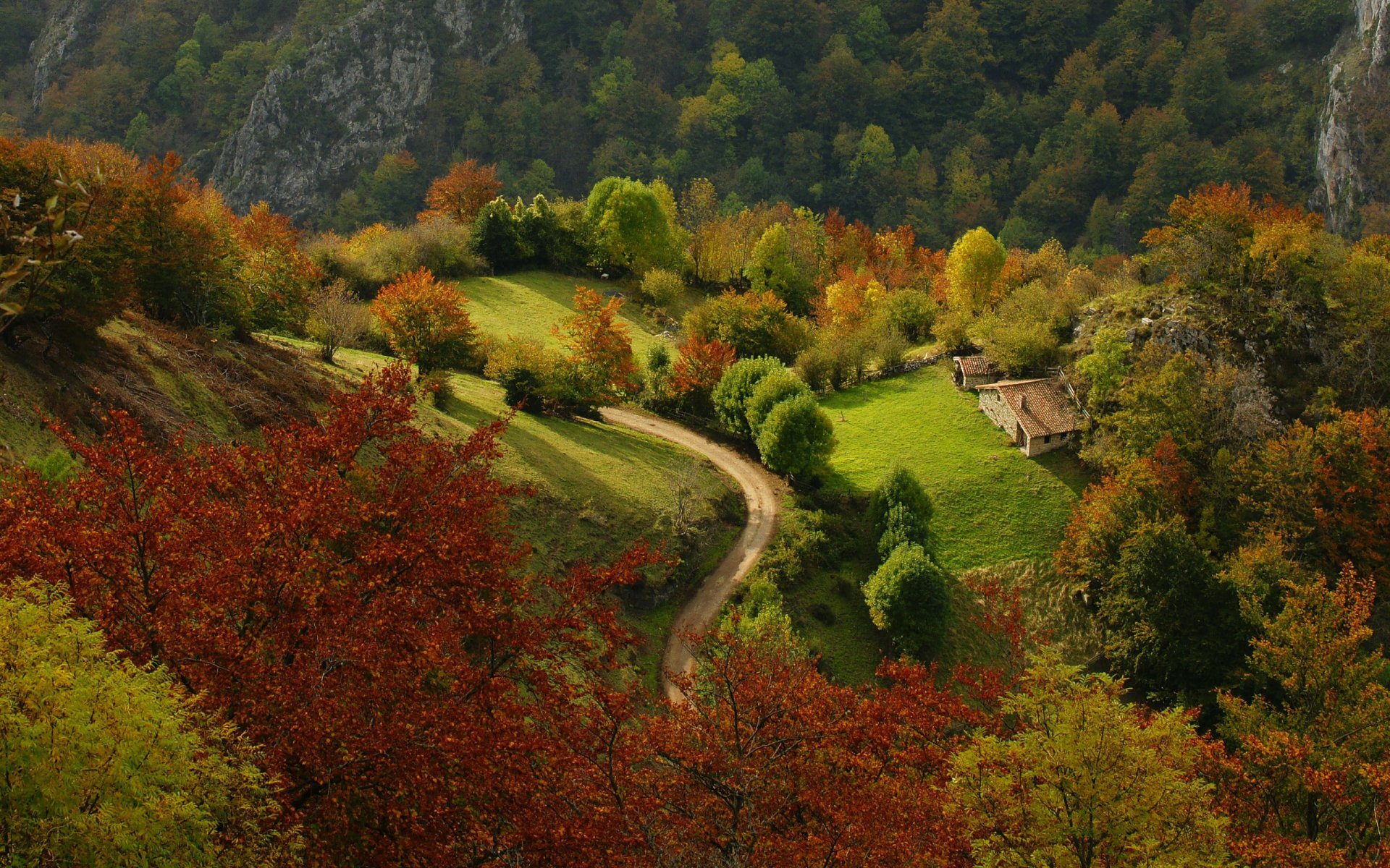 natur straße haus hügel berge wald bäume